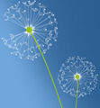 Logo von Social-Media-Agentur.net