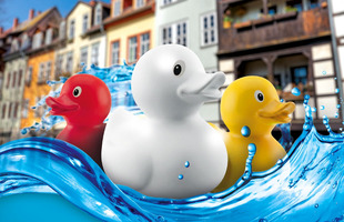 eventbild - 29. Erfurter Entenrennen - 21. M&auml;rz 2026