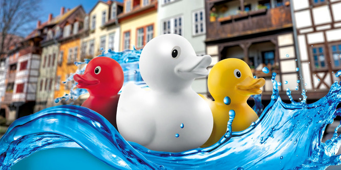 eventbild - 29. Erfurter Entenrennen - 21. M&auml;rz 2026